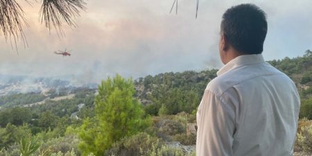 Mάνος Κόνσολας: «Αποζημιώσεις στους κτηνοτρόφους και τους μελισσοκόμους της Ρόδου και χαρακτηρισμός των καμένων εκτάσεων ως αναδασωτέων»