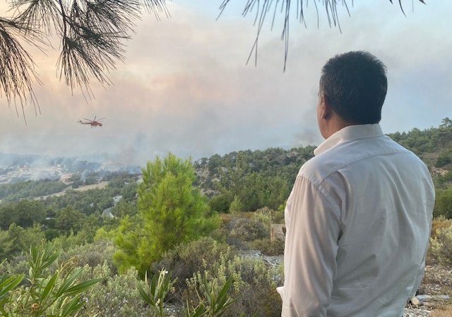 Mάνος Κόνσολας: «Αποζημιώσεις στους κτηνοτρόφους και τους μελισσοκόμους της Ρόδου και χαρακτηρισμός των καμένων εκτάσεων ως αναδασωτέων»