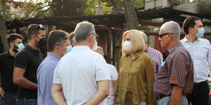 Φώφη Γεννηματά: Κάνω έκκληση να διατεθούν άμεσα όλα τα αναγκαία μέσα, για να σταματήσει η καταστροφή της Εύβοιας