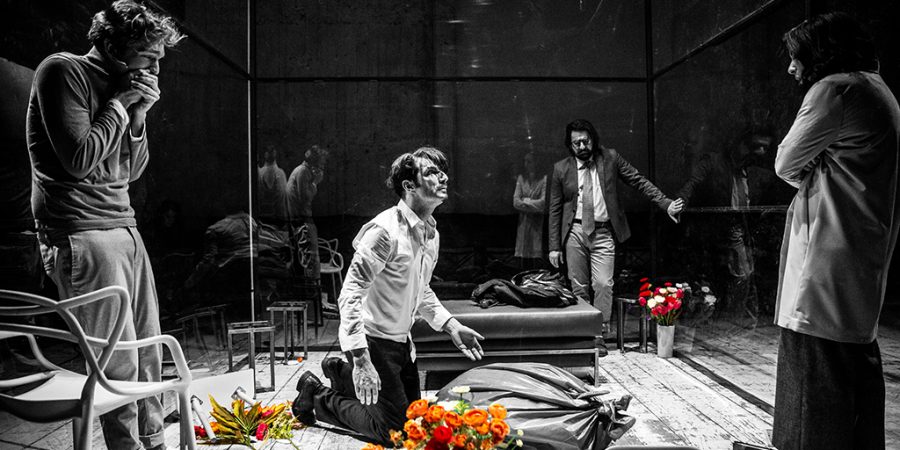 «Η Γίδα ή Ποια είναι η Σύλβια;» (σημειώσεις για τον ορισμό της τραγωδίας)