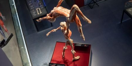 BODYWORLDS