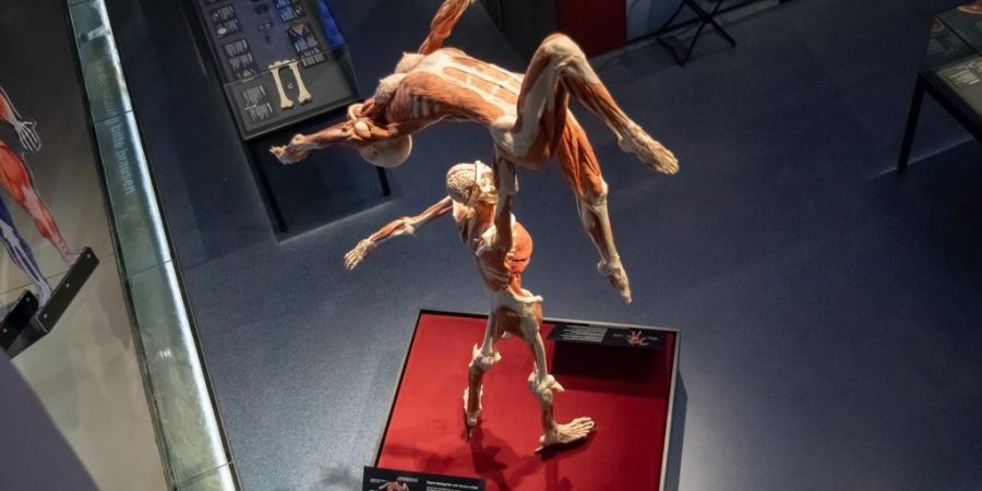 BODYWORLDS