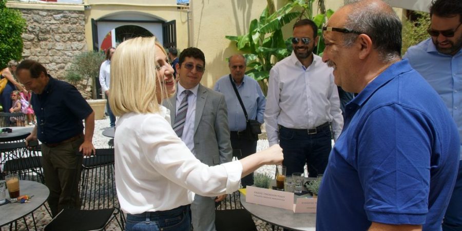 Φώφη Γεννηματά: Μεγάλη ευθύνη του Πρωθυπουργού για το έλλειμμα Εθνικής Στρατηγικής