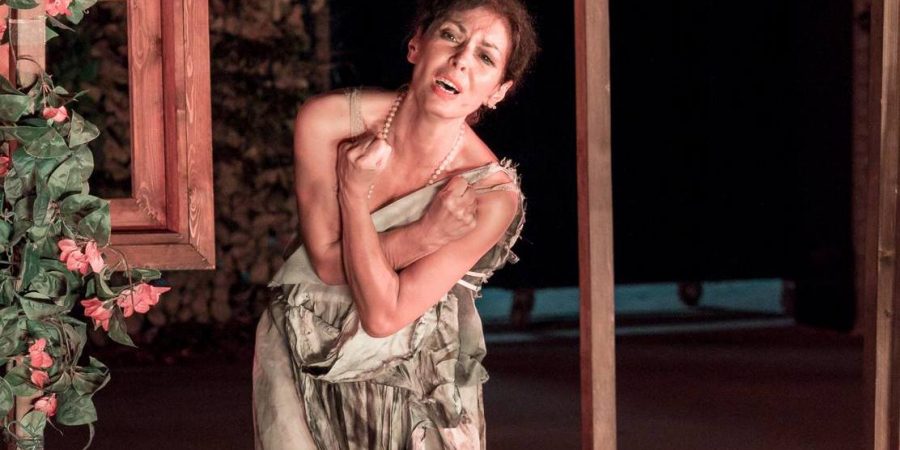 ΤΟ ΑΓΡΙΜΙ – ΜΑΡΙΚΑ ΚΟΤΟΠΟΥΛΗ