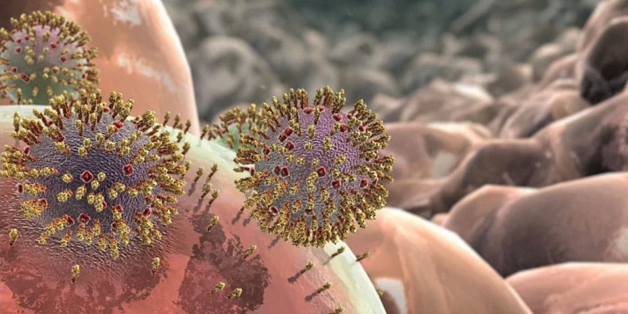 Ανησυχίες για ισχυρή ανάκαμψη του ιού της γρίπης