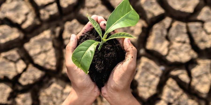 διαΝΕΟσις: Οι συνέπειες της Κλιματικής Αλλαγής στην Ελλάδα