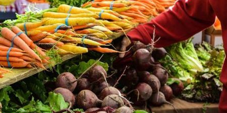 Νέα στρατηγική της ΕΕ «από το αγρόκτημα στο πιάτο» για υγιεινά, βιώσιμα τρόφιμα