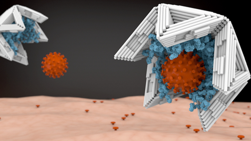 Νέες θεραπείες εναντίον της COVID-19 και νέα αντιιικά φάρμακα με βάση την Νανοτεχνολογία