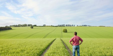 Εκδόθηκε το ΦΕΚ των «Νέων Γεωργών»- Ακολουθεί η προκήρυξη του προγράμματος