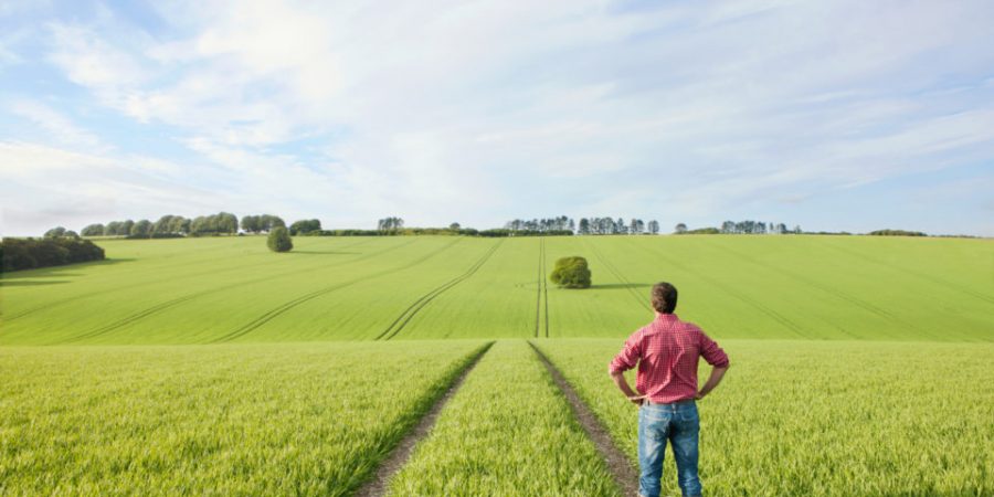 Εκδόθηκε το ΦΕΚ των «Νέων Γεωργών»- Ακολουθεί η προκήρυξη του προγράμματος