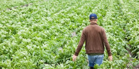 Άνοιξε η πλατφόρμα για τους νέους αγρότες
