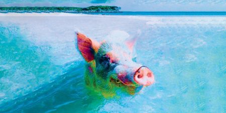 Η Φάρμα των ζώων, του Τζώρτζ  Όργουελ