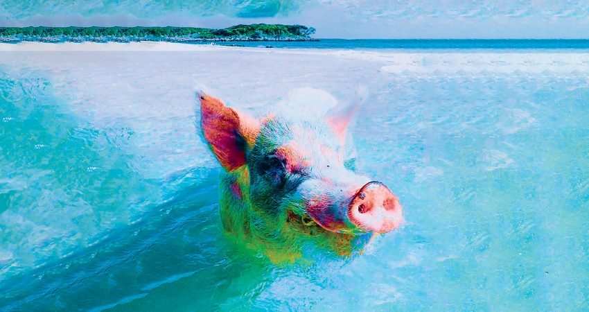 Η Φάρμα των ζώων, του Τζώρτζ  Όργουελ