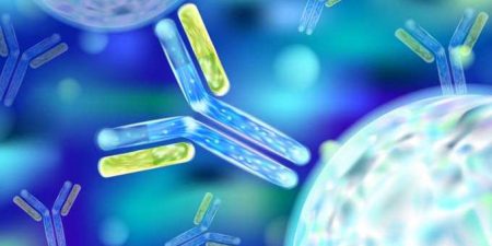 Πως δουλεύουν τα αντισώματα έναντι του SARS-CoV-2;