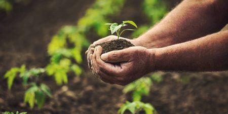 Αγροτική πολιτική της ΕΕ: Οριστική έγκριση των μεταρρυθμίσεων από το Κοινοβούλιο