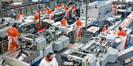 Αύξηση των τιμών παραγωγού στη βιομηχανία κατά 24,5% τον Νοέμβριο, σε ετήσια βάση