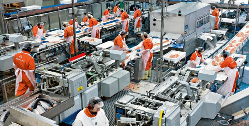 Αύξηση των τιμών παραγωγού στη βιομηχανία κατά 24,5% τον Νοέμβριο, σε ετήσια βάση