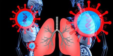 Ο ιός SARS-CoV-2 μπορεί να εξαπλώνεται στην καρδιά και στον εγκέφαλο στα αρχικά στάδια και να επιβιώνει για μήνες σε διάφορα όργανα