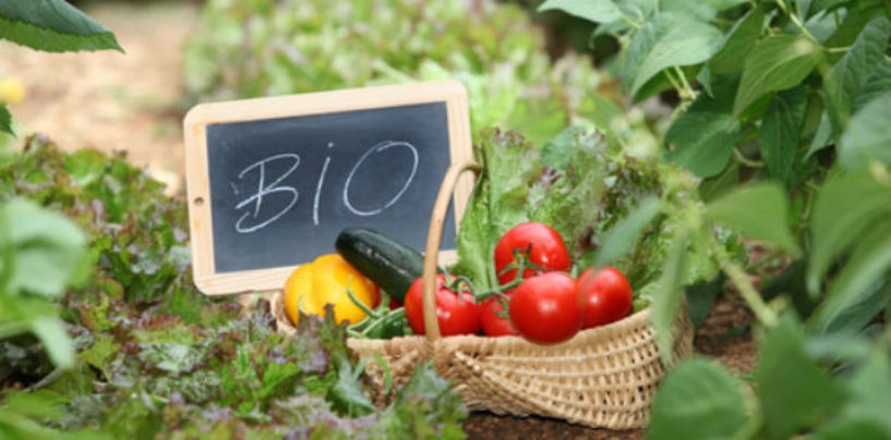 Πρόσκληση υποβολής αιτήσεων στήριξης  για συμμετοχή στο μέτρο 11 «Βιολογική Γεωργία», συνολικής δαπάνης 490 εκατ. ευρώ