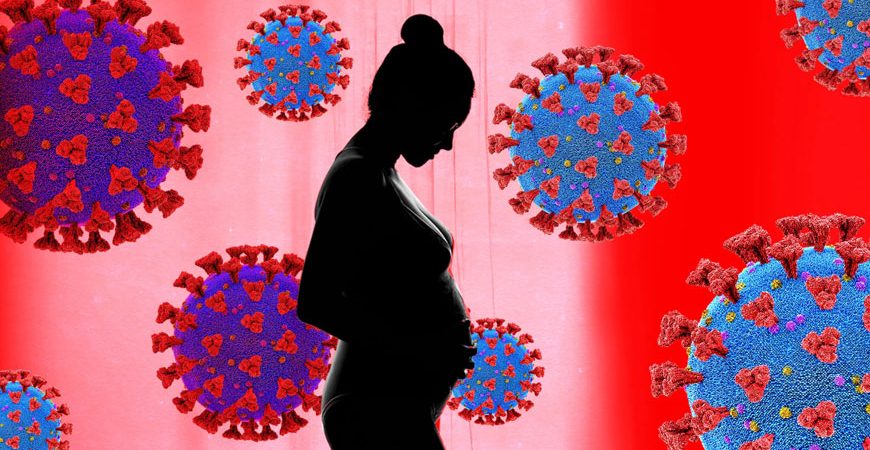 Ο ιός SARS-CoV-2 μπορεί να προκαλεί εμβρυική φλεγμονή ακόμα και σε απουσία λοίμωξης του πλακούντα στις εγκύους