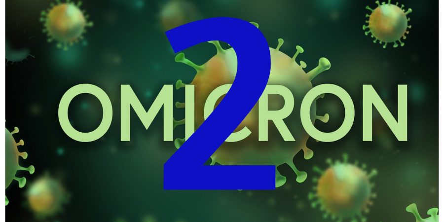 Υποπαραλλαγή Όμικρον 2