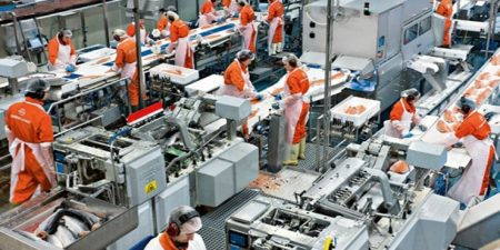 ΕΛΣΤΑΤ: Αύξηση 39,4% στον τζίρο της εγχώριας βιομηχανίας τον Νοέμβριο