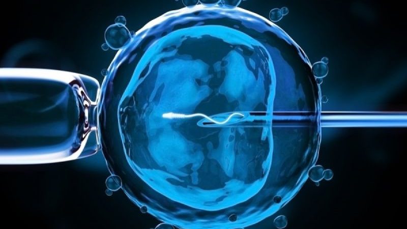 Ο εμβολιασμός έναντι COVID-19 δεν έχει κάποια δυσμενή επίδραση στα αποτελέσματα εξωσωματικής γονιμοποίησης