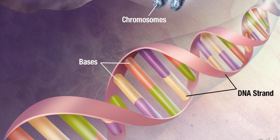 Αναπτύσσεται τεστ DNA που μπορεί να ανιχνεύσει ταυτόχρονα πολλές νευρολογικές παθήσεις