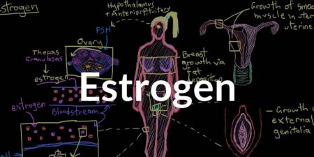 Η θεραπεία ορμονικής υποκατάστασης με οιστρογόνα σχετίζεται με μειωμένο κίνδυνο θανάτου από COVID-19