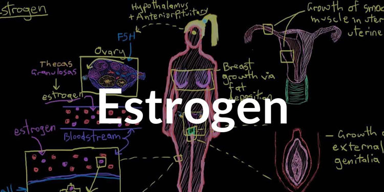 Η θεραπεία ορμονικής υποκατάστασης με οιστρογόνα σχετίζεται με μειωμένο κίνδυνο θανάτου από COVID-19