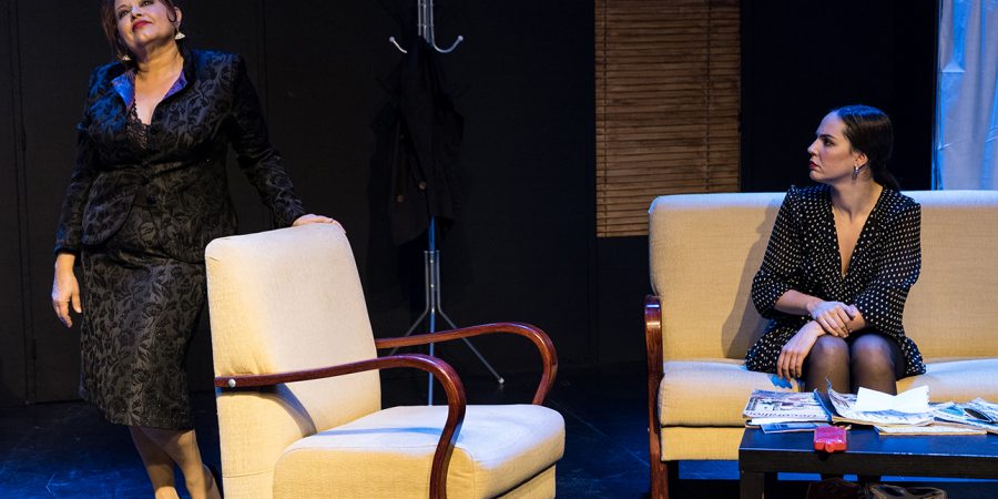 Nicky Silver: Οι Lyons (The Lyons)