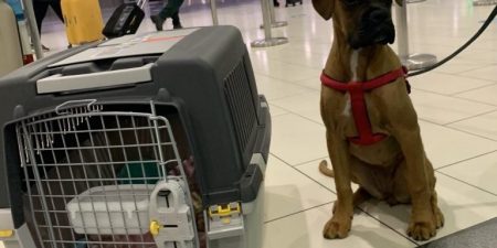 Η Blondie γύρισε σπίτι της με την Aegean