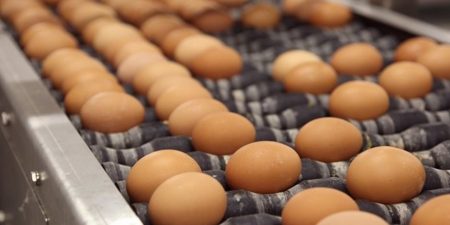 Συνεργασία ΥΠΑΑΤ με ΕΛΓΟ-ΔΗΜΗΤΡΑ για την καταγραφή όλων των επιχειρήσεων του κλάδου παραγωγής –εμπορίας αυγών