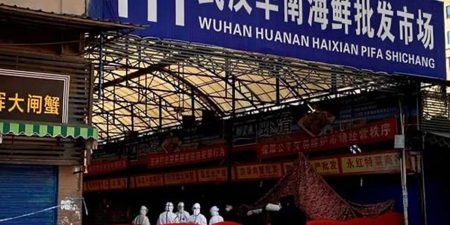 Μελέτες υποδεικνύουν την αγορά της Huanan ως το επίκεντρο της αρχικής διασποράς της πανδημίας