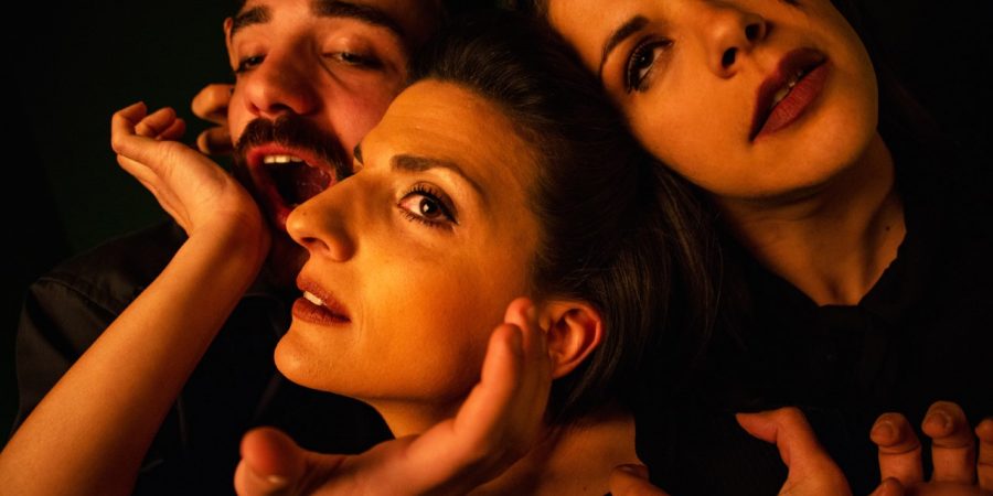 «Οι Ηλίθιοι» (IDIOTERNE)