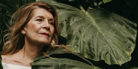 Η κυρία Κλάιν του Νίκολας Ράιτ