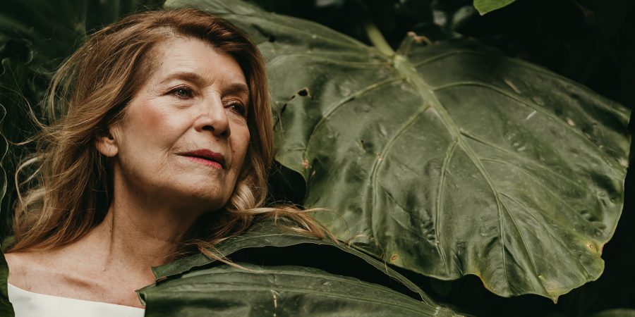 Η κυρία Κλάιν του Νίκολας Ράιτ