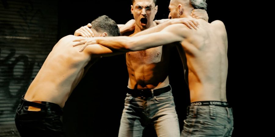 «Επαρχία» του Μιχάλη Βιρβιδάκη