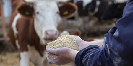 Με τροπολογία Γεωργαντά 45 εκατ. ευρώ στους κτηνοτρόφους για αγορά ζωοτροφών