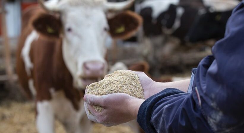 Με τροπολογία Γεωργαντά 45 εκατ. ευρώ στους κτηνοτρόφους για αγορά ζωοτροφών