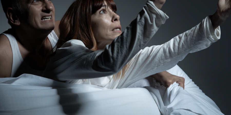 Παρουσίαση του νέου βιβλίου της Ζέτης Φίτσιου «Το κουνούπι»