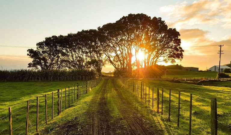 Μετάθεση της ημερομηνίας έναρξης υποβολής αιτήσεων ενίσχυσης στα υποέργα «Εκσυγχρονισμός του Πρωτογενούς Τομέα» και «Πράσινος Αγροτουρισμός»