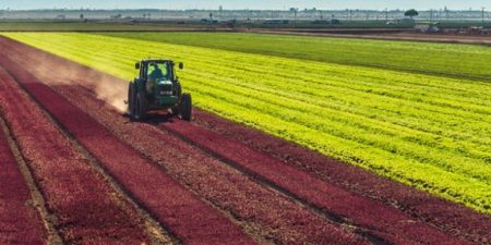 Ανακοίνωση για τον ΑΤΑΚ στα μισθωμένα αγροτεμάχια