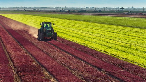 Ανακοίνωση για τον ΑΤΑΚ στα μισθωμένα αγροτεμάχια