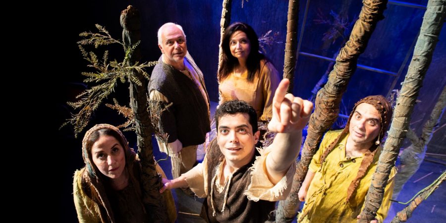 Το Αστερόπαιδο του Όσκαρ Ουάιλντ