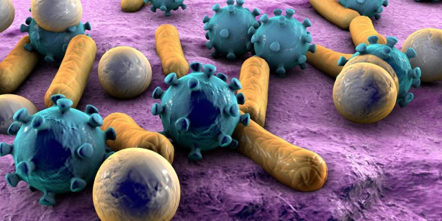 Ο αόρατος σπουδαίος κόσμος ή πώς οι μικροβιακές κοινότητες κατέχουν το κλειδί της ζωής