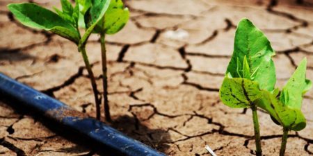 Η Κλιματική Αλλαγή και οι Έλληνες