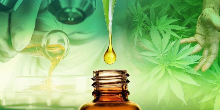 Οργανισμός της ΕΕ «σταματά το ρολόι» για την αξιολόγηση της ασφάλειας του ελαίου κάνναβης ως τρόφιμο