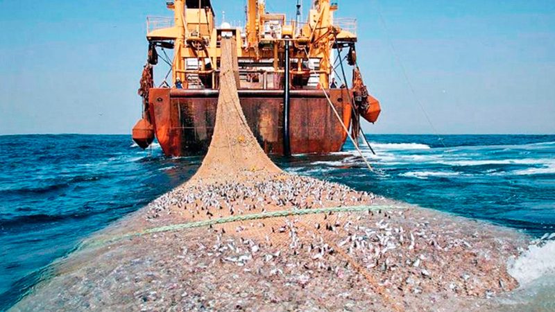 Αλιείς και υδατοκαλλιεργητές θα αποζημιωθούν για τον πόλεμο στην Ουκρανία