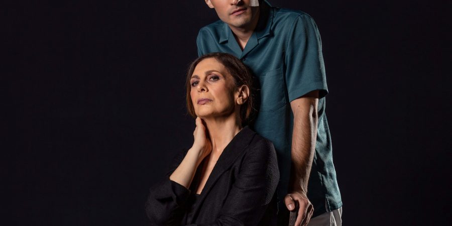 «ΤΟ ΧΕΛΙΔΟΝΙ» του Γκιλιέμ Κλούα